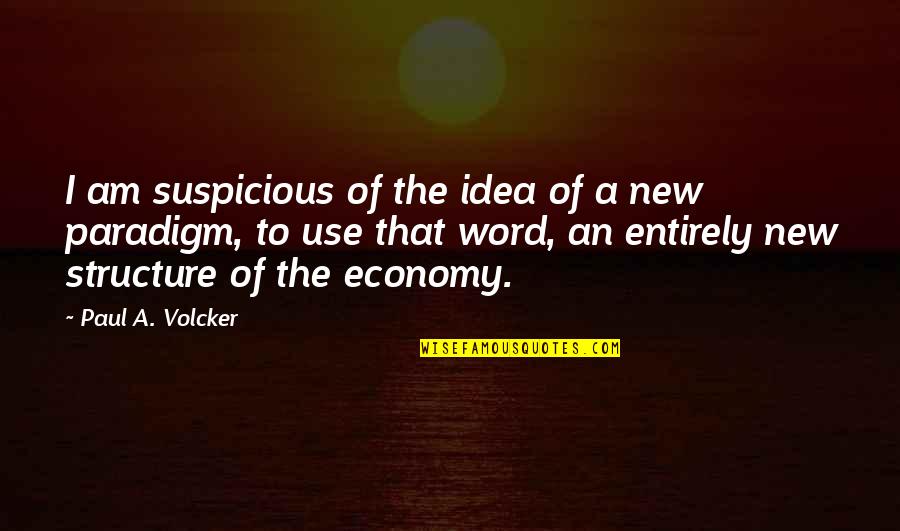Futurologist Quotes By Paul A. Volcker: I am suspicious of the idea of a