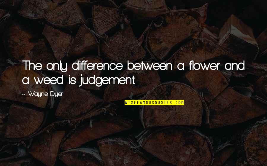 Fuzzy Lumpkins Quotes By Wayne Dyer: The only difference between a flower and a