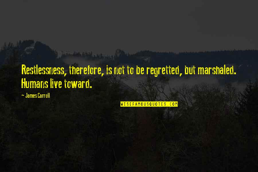 Fvi Games Quotes By James Carroll: Restlessness, therefore, is not to be regretted, but