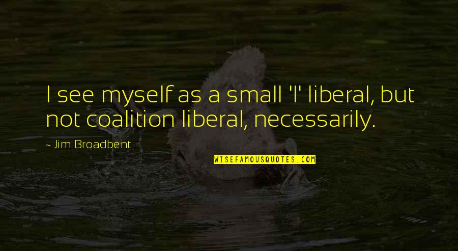 Fyrr Quotes By Jim Broadbent: I see myself as a small 'l' liberal,