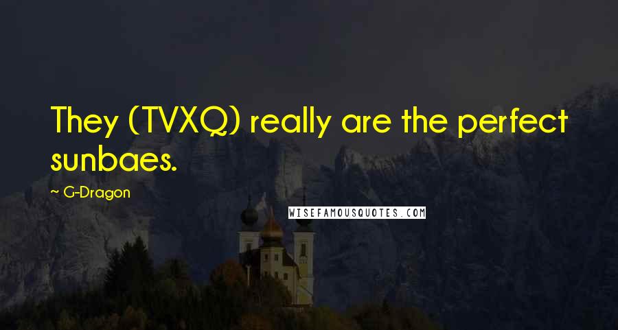 G-Dragon quotes: They (TVXQ) really are the perfect sunbaes.