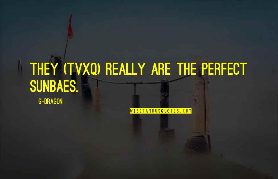 G Dragon Quotes By G-Dragon: They (TVXQ) really are the perfect sunbaes.