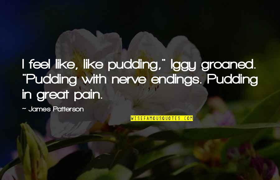 G E Patterson Quotes By James Patterson: I feel like, like pudding," Iggy groaned. "Pudding