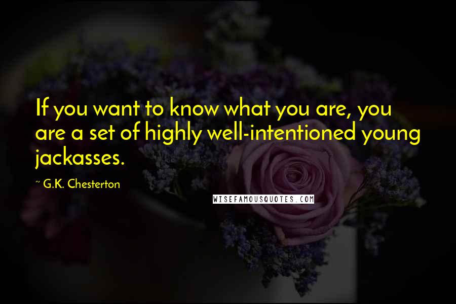 G.K. Chesterton quotes: If you want to know what you are, you are a set of highly well-intentioned young jackasses.