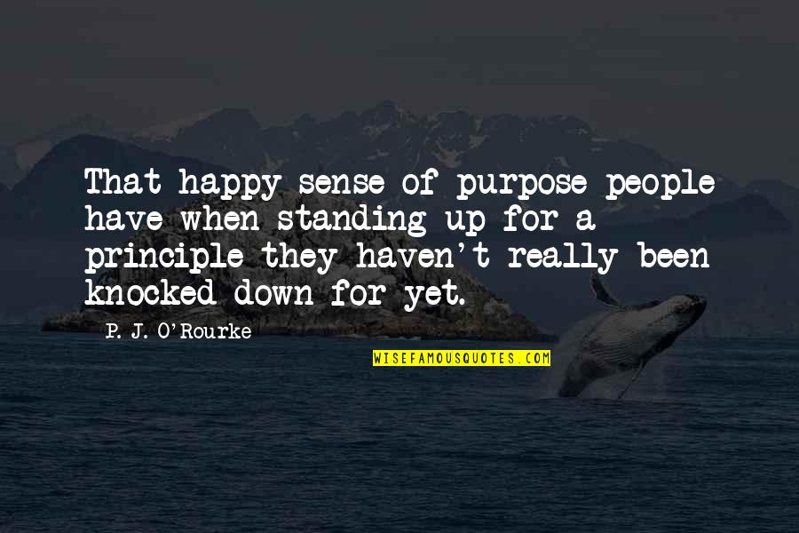 G Ller G Zel Quotes By P. J. O'Rourke: That happy sense of purpose people have when