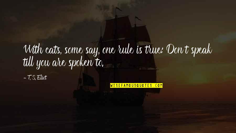G Rlek Yaylasi Quotes By T. S. Eliot: With cats, some say, one rule is true: