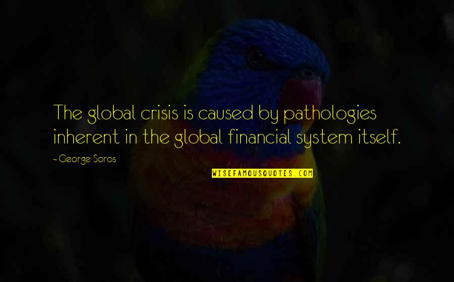 G Soros Quotes By George Soros: The global crisis is caused by pathologies inherent