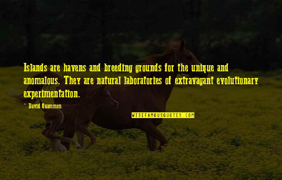 G W Laboratories Quotes By David Quammen: Islands are havens and breeding grounds for the
