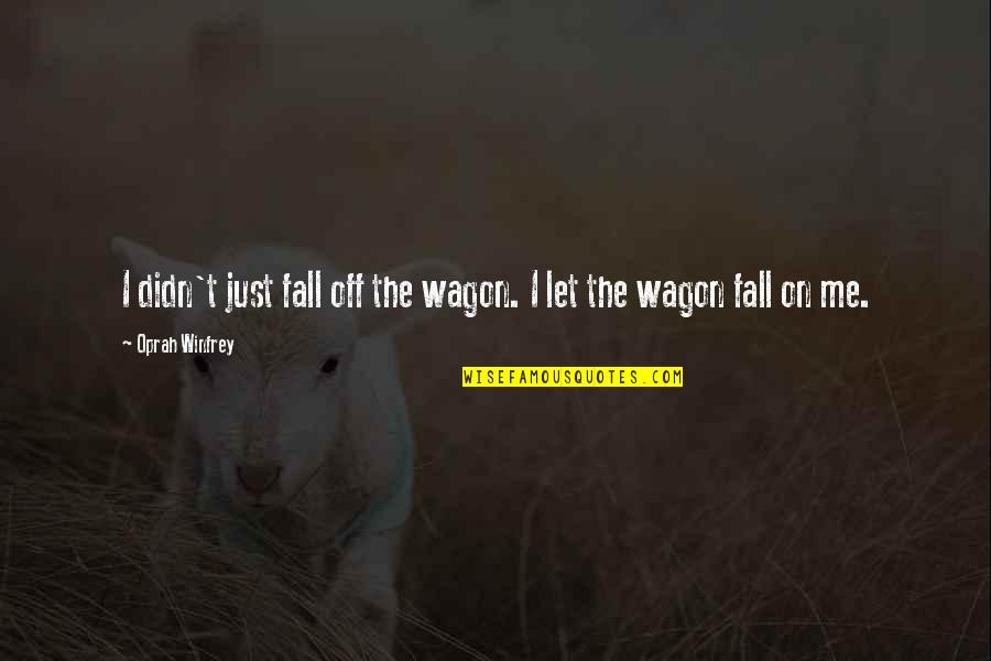 G Wagon Quotes By Oprah Winfrey: I didn't just fall off the wagon. I G Wagon Quotes By Oprah Winfrey: I didn't just fall off the wagon. I
