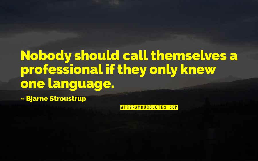 G12 Vision Quotes By Bjarne Stroustrup: Nobody should call themselves a professional if they