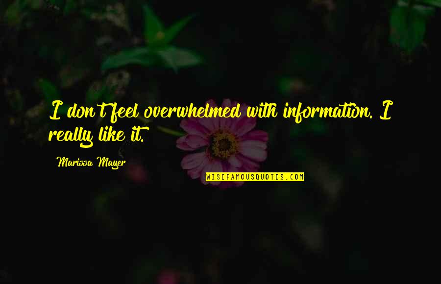 Gaara Quotes By Marissa Mayer: I don't feel overwhelmed with information. I really