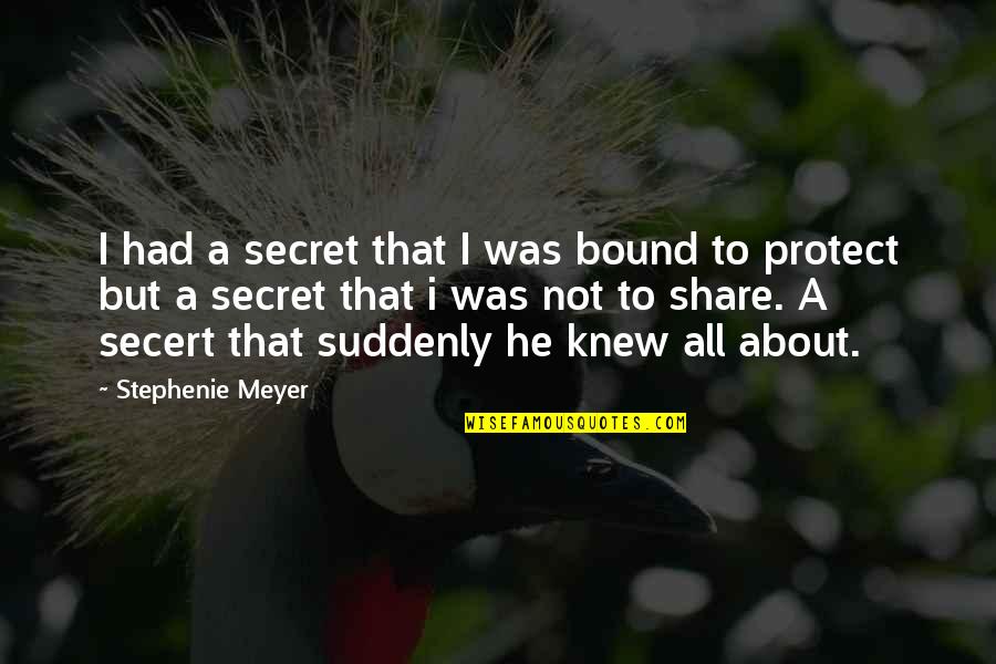 Gaara Shippuden Quotes By Stephenie Meyer: I had a secret that I was bound