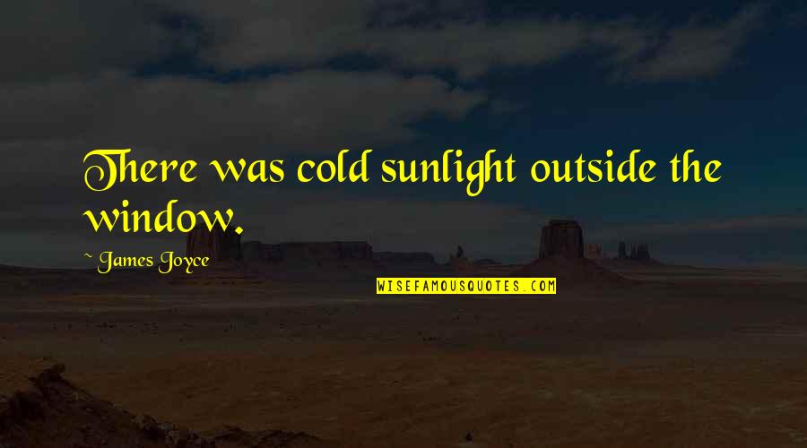 Gaarden Quotes By James Joyce: There was cold sunlight outside the window.