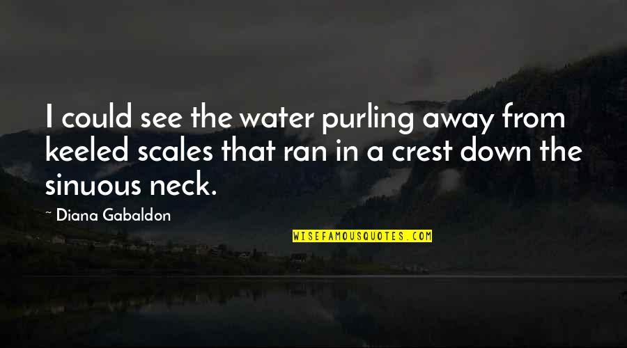 Gabaldon Quotes By Diana Gabaldon: I could see the water purling away from Gabaldon Quotes By Diana Gabaldon: I could see the water purling away from