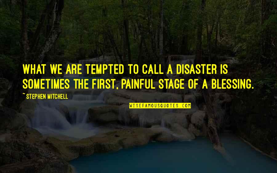 Gabardini Corrientes Quotes By Stephen Mitchell: What we are tempted to call a disaster