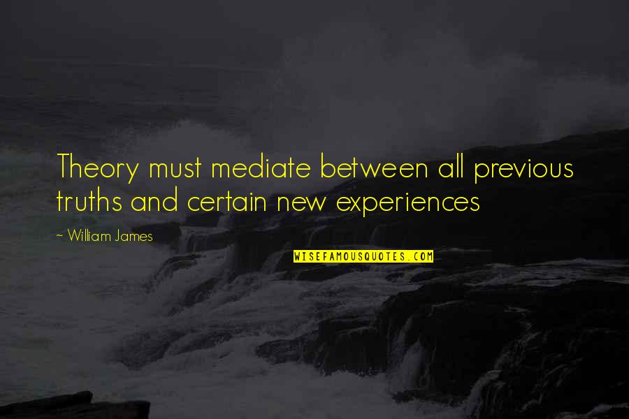 Gabe Lyons Quotes By William James: Theory must mediate between all previous truths and