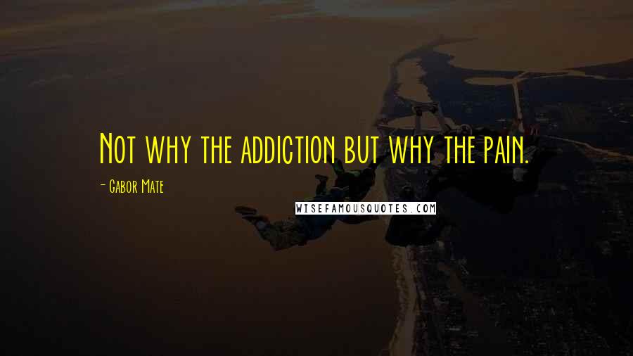 Gabor Mate quotes: Not why the addiction but why the pain.