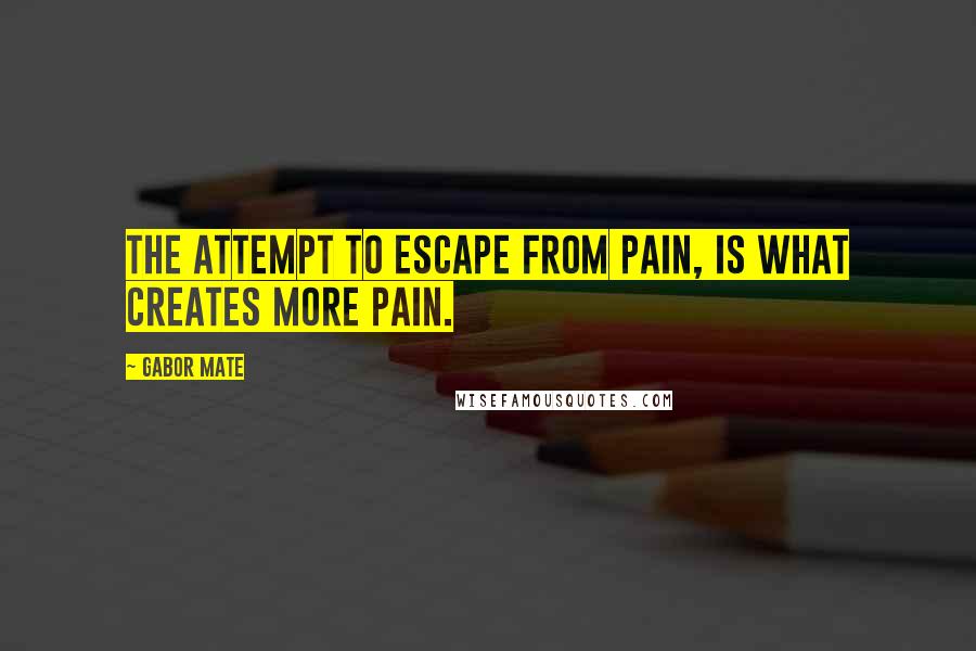 Gabor Mate quotes: The attempt to escape from pain, is what creates more pain.