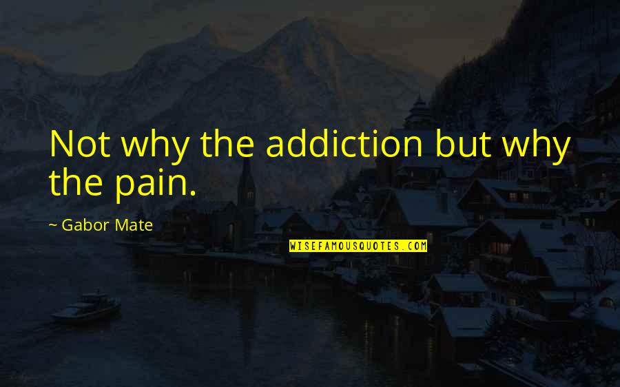 Gabor Quotes By Gabor Mate: Not why the addiction but why the pain.