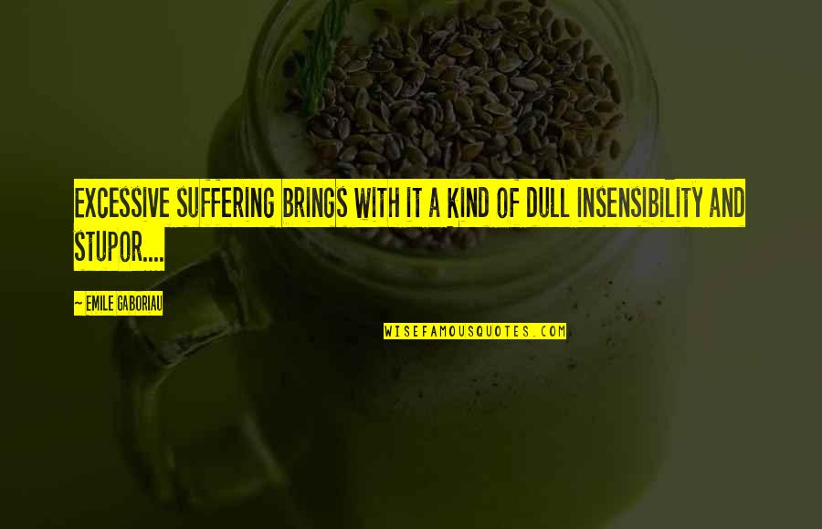 Gaboriau Quotes By Emile Gaboriau: Excessive suffering brings with it a kind of