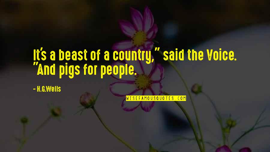 Gaboury Actress Quotes By H.G.Wells: It's a beast of a country," said the