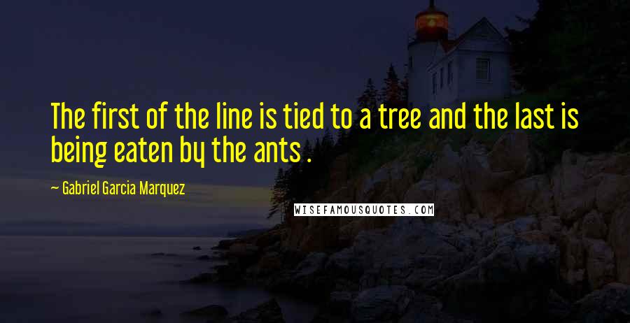 Gabriel Garcia Marquez quotes: The first of the line is tied to a tree and the last is being eaten by the ants .