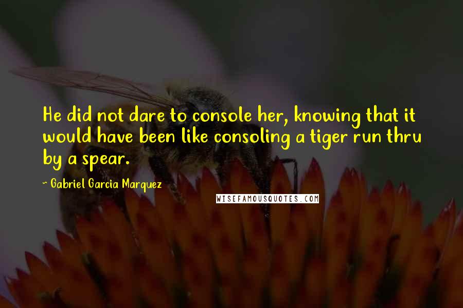 Gabriel Garcia Marquez quotes: He did not dare to console her, knowing that it would have been like consoling a tiger run thru by a spear.