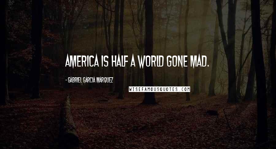 Gabriel Garcia Marquez quotes: America is half a world gone mad.