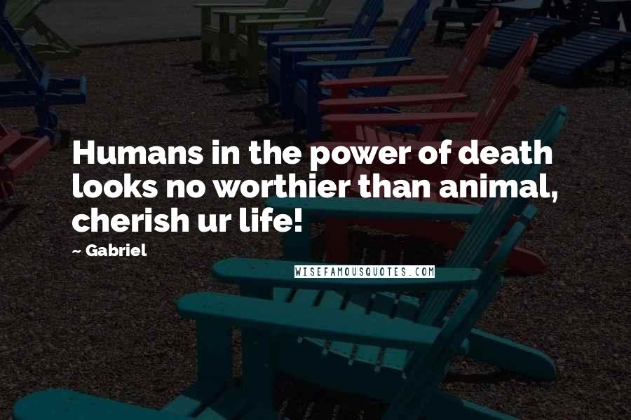 Gabriel quotes: Humans in the power of death looks no worthier than animal, cherish ur life!
