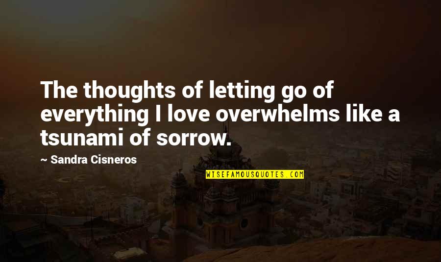 Gabriella Moretti Quotes By Sandra Cisneros: The thoughts of letting go of everything I