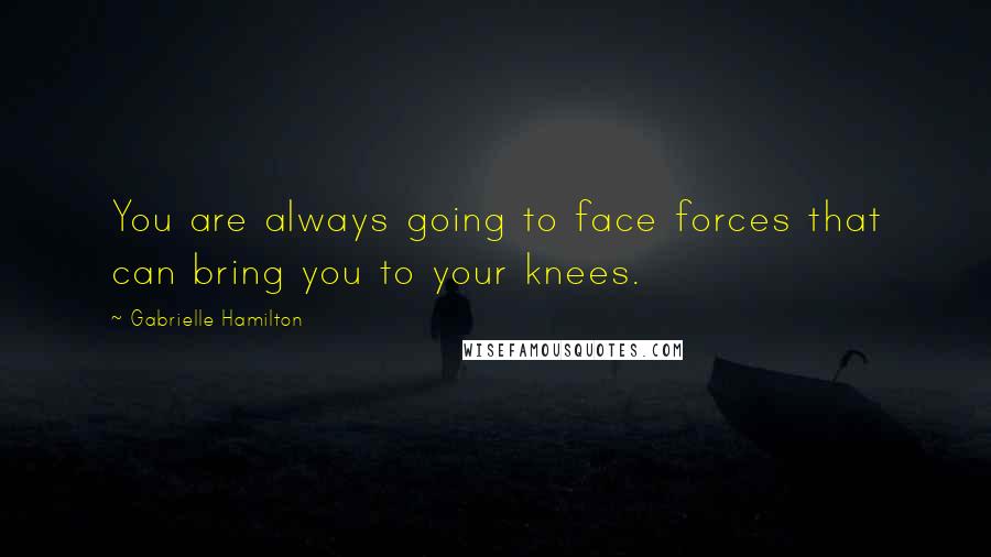 Gabrielle Hamilton quotes: You are always going to face forces that can bring you to your knees.