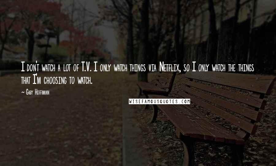 Gaby Hoffmann quotes: I don't watch a lot of T.V. I only watch things via Netflix, so I only watch the things that I'm choosing to watch.
