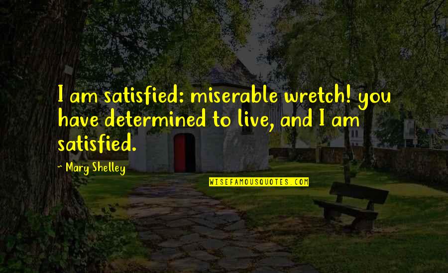 Gacote Apolinar Quotes By Mary Shelley: I am satisfied: miserable wretch! you have determined