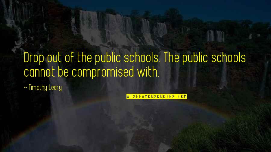 Gadamer Truth And Method Quotes By Timothy Leary: Drop out of the public schools. The public