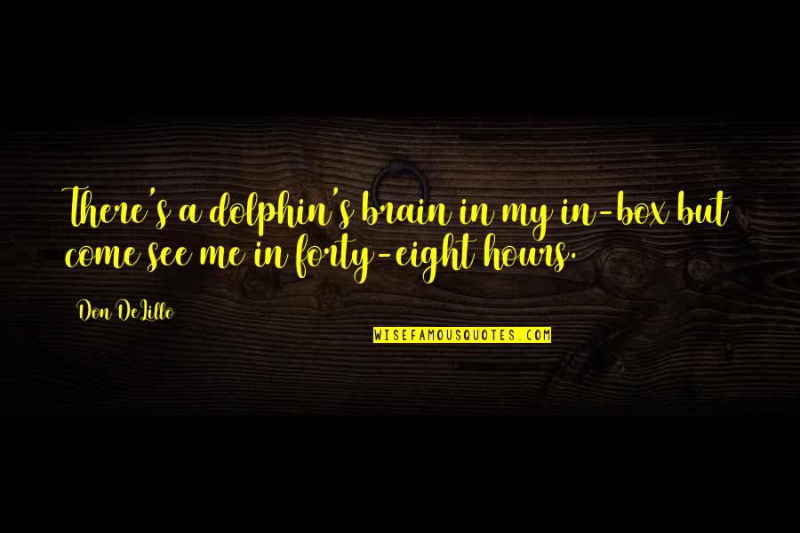Gadoury And Gadoury Quotes By Don DeLillo: There's a dolphin's brain in my in-box but