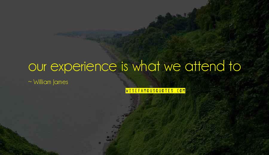 Gadzinski Dobre Quotes By William James: our experience is what we attend to