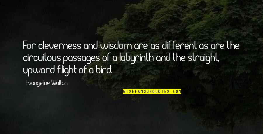 Gaebelein Commentary Quotes By Evangeline Walton: For cleverness and wisdom are as different as