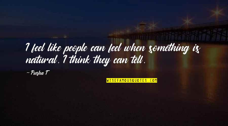 Gaeckler Quotes By Pusha T: I feel like people can feel when something