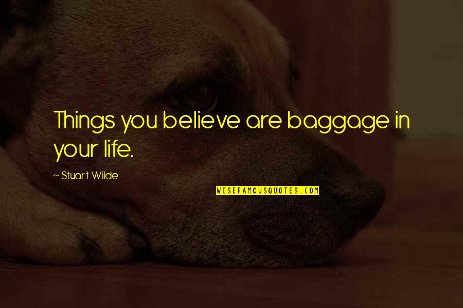 Gaerlan Manufacturing Quotes By Stuart Wilde: Things you believe are baggage in your life.