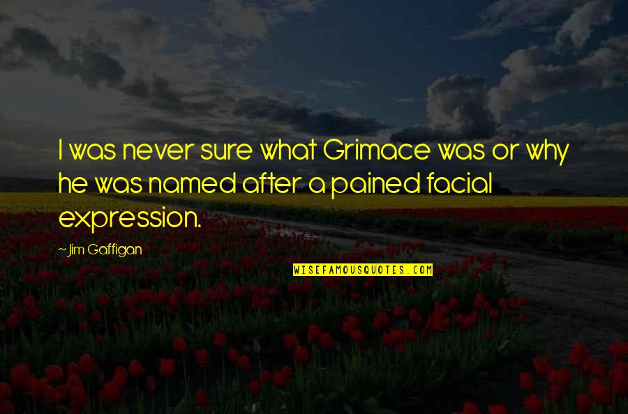 Gaffigan Quotes By Jim Gaffigan: I was never sure what Grimace was or