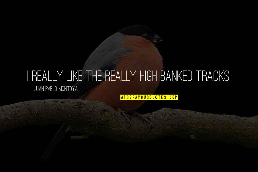 Gagliardo Favorita Quotes By Juan Pablo Montoya: I really like the really high banked tracks.