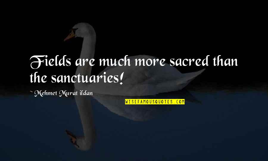 Gagne Precast Quotes By Mehmet Murat Ildan: Fields are much more sacred than the sanctuaries!