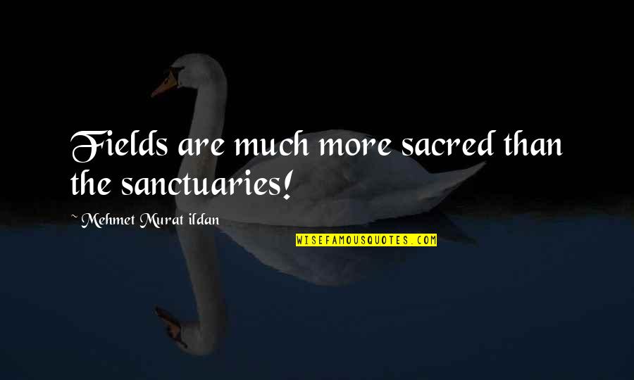 Gagne Precast Quotes By Mehmet Murat Ildan: Fields are much more sacred than the sanctuaries! Gagne Precast Quotes By Mehmet Murat Ildan: Fields are much more sacred than the sanctuaries!