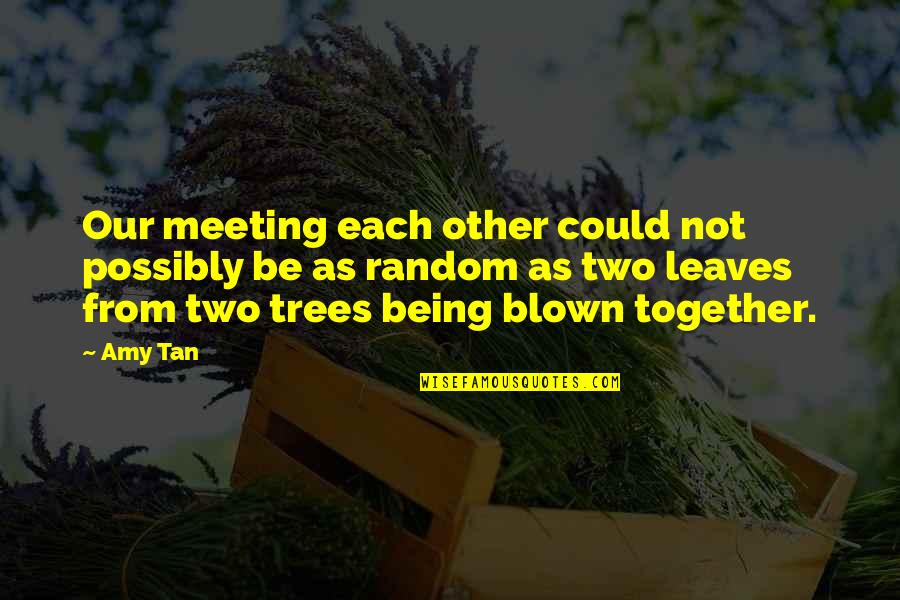 Gahring Stanley Quotes By Amy Tan: Our meeting each other could not possibly be Gahring Stanley Quotes By Amy Tan: Our meeting each other could not possibly be