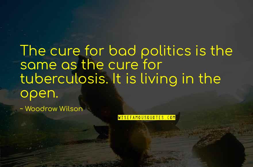 Gaia Healing Quotes By Woodrow Wilson: The cure for bad politics is the same