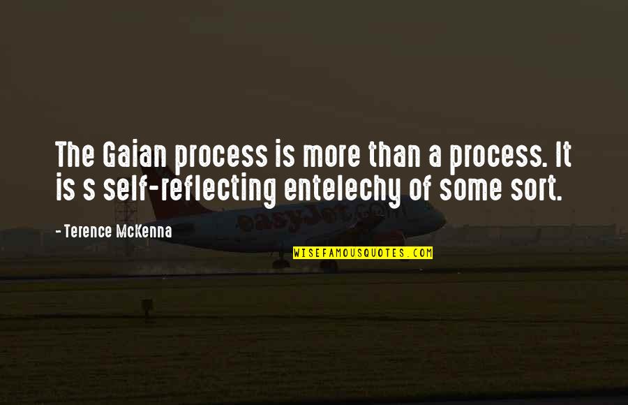 Gaian Quotes By Terence McKenna: The Gaian process is more than a process.