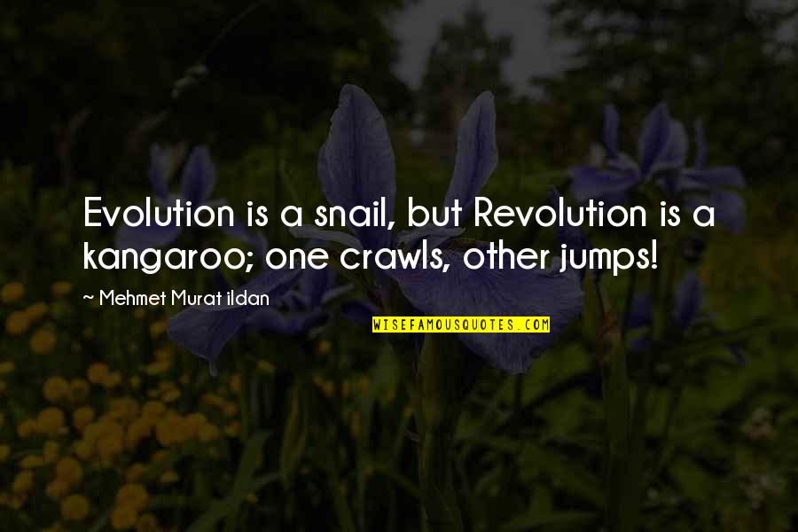 Gaiete Quotes By Mehmet Murat Ildan: Evolution is a snail, but Revolution is a Gaiete Quotes By Mehmet Murat Ildan: Evolution is a snail, but Revolution is a