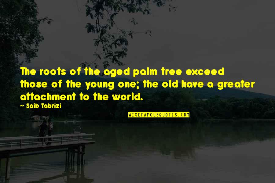 Gailus Outlander Quotes By Saib Tabrizi: The roots of the aged palm tree exceed Gailus Outlander Quotes By Saib Tabrizi: The roots of the aged palm tree exceed