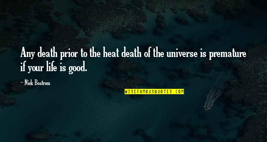 Gailya Mcelroy Quotes By Nick Bostrom: Any death prior to the heat death of