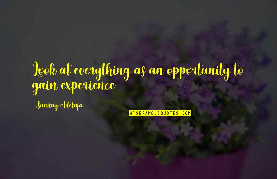 Gain Experience Quotes By Sunday Adelaja: Look at everything as an opportunity to gain